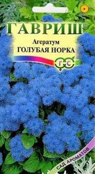 Агератум Голубая норка 0,1 г серия Сад ароматов Г семена