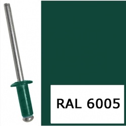 Заклепки RAL6005 4,0х10