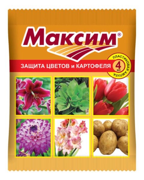 Максим 4мл ВХ защита цветов и картофеля от болезней (Изображение 1)
