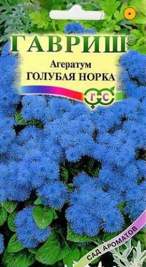 Агератум Голубая норка 0,1 г серия Сад ароматов Г семена (Изображение 1)