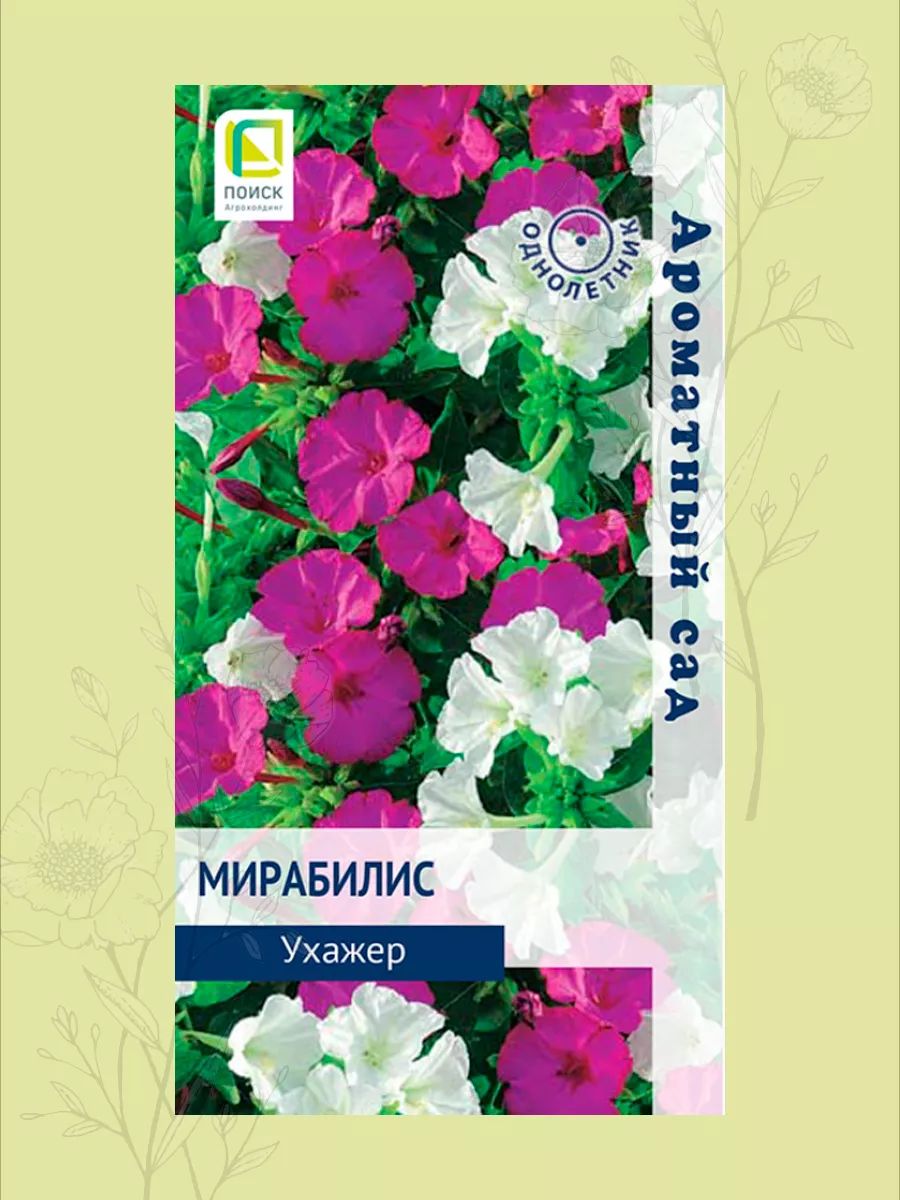картинка Мирабилис Ухажер (ЦВ) 1 г П семена от магазина Евродом