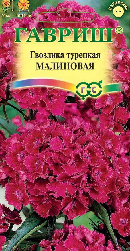 картинка Гвоздика Бородатая Турецкая Малиновая 0,1 г Г семена от магазина Евродом