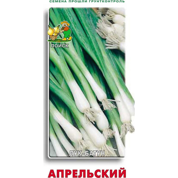 картинка Лук батун Апрельский 1 г П семена от магазина Евродом