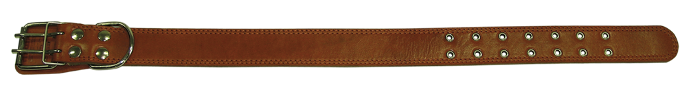 картинка Ошейник 45 кожа+брезент (48-66смх45мм) от магазина Евродом