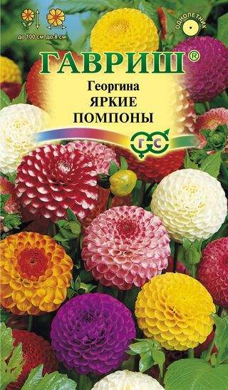 картинка Георгина Яркие помпоны 0,2 г Г семена от магазина Евродом