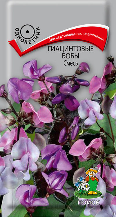 картинка Гиацинтовые бобы Смесь (ЦВ) ("1) 1гр. семена от магазина Евродом