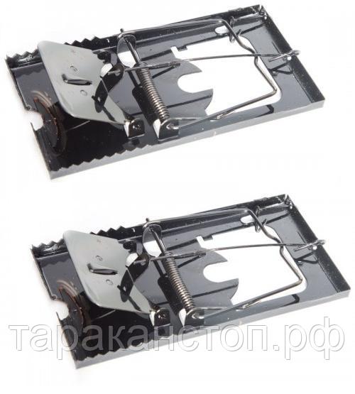 картинка Крысоловка железо  от магазина Евродом