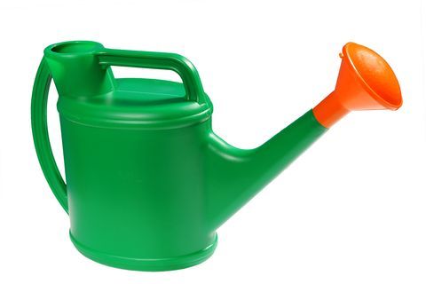 картинка Лейка 8л пластик цветная от магазина Евродом