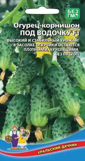 картинка Огурец Под Водочку-корнишон УД семена от магазина Евродом