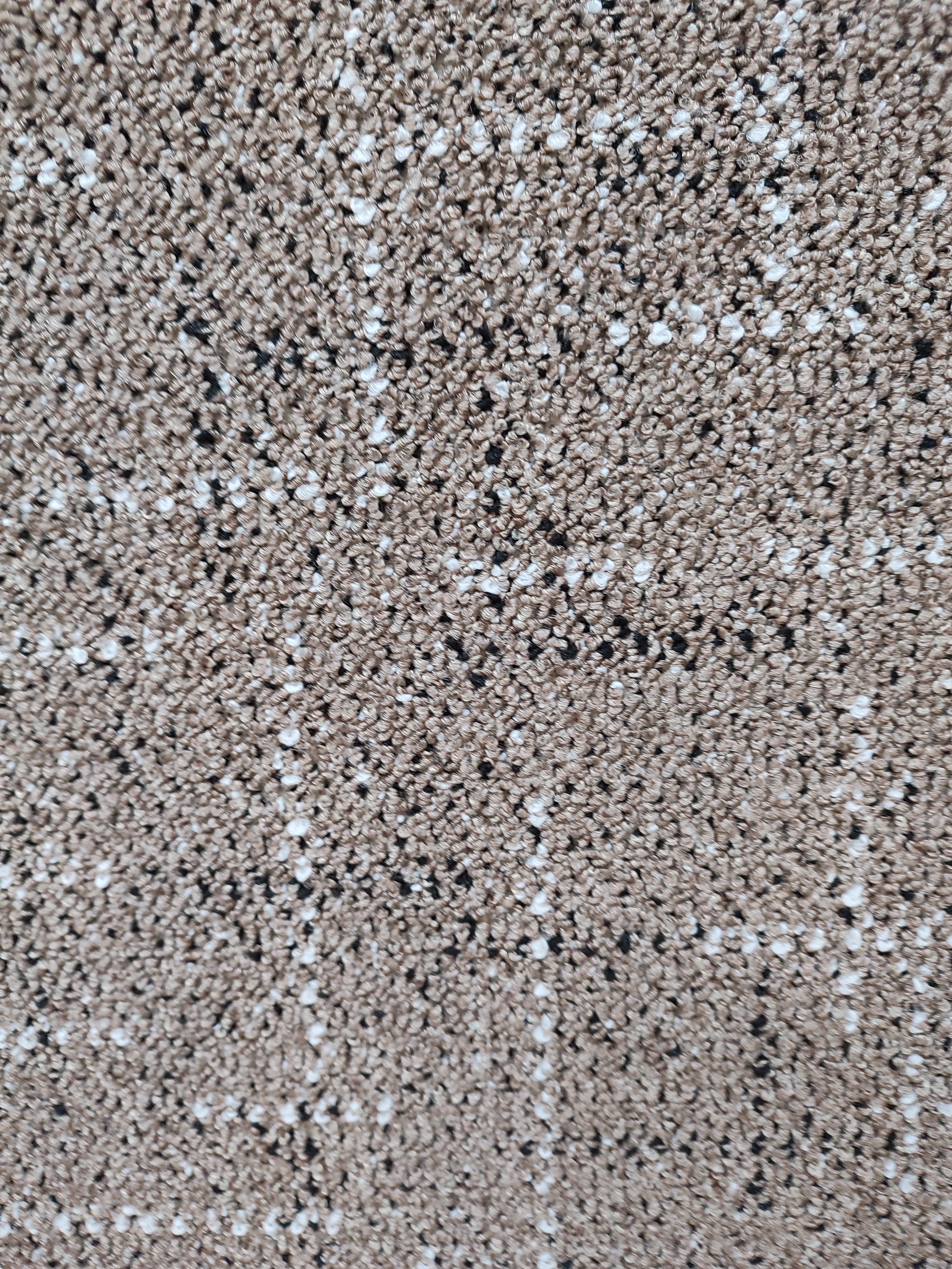 картинка Ковровое покрытие SHTRIH 01_019_191711 2,5м от магазина Евродом