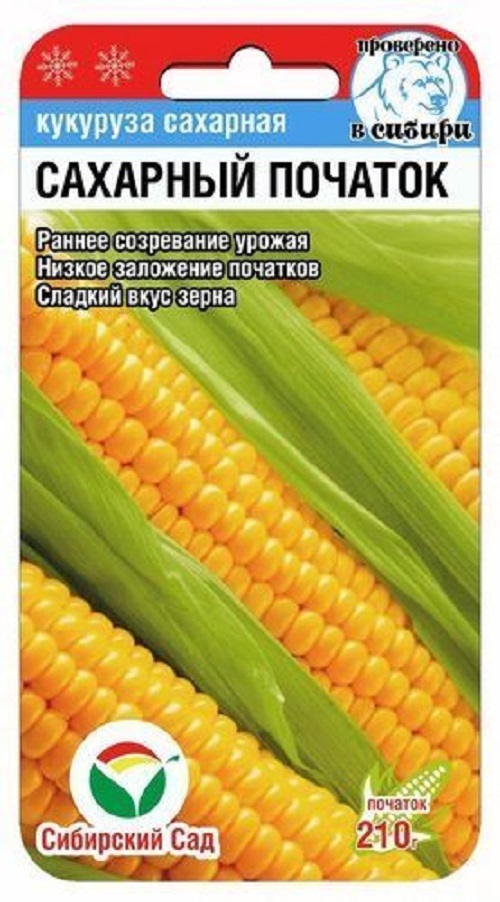 картинка Кукуруза Сахарный початок 6 шт СС от магазина Евродом