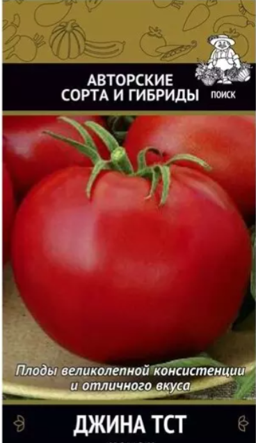 картинка Томат Джина ТСТ 0,1 г П семена от магазина Евродом