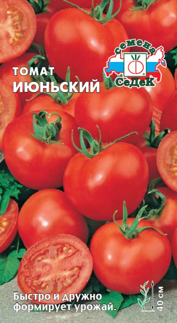 картинка Томат Июньский 0,2г (Ц) СД семена от магазина Евродом