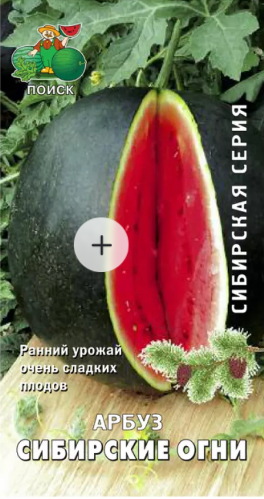 картинка Арбуз Сибирские огни 15 шт П семена от магазина Евродом