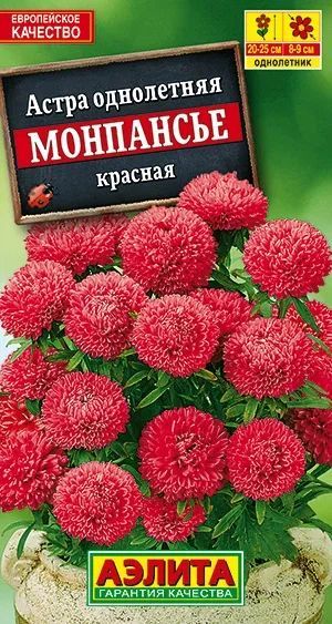 картинка Астра Монпансье красная 0,2 г (Ц) АЭ семена от магазина Евродом