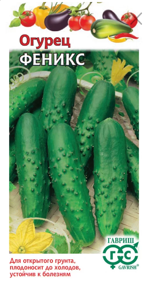 картинка Огурец Феникс 0,5 г Г семена от магазина Евродом