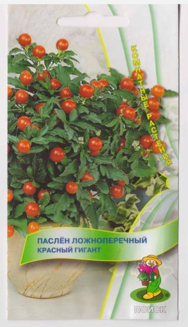 картинка Паслен ложноперечный Красный гигант (ЦВ) ("К) 10шт. от магазина Евродом