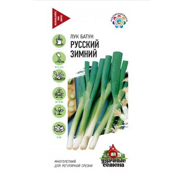 картинка Лук батун Русский зимний 0,5 г Г семена от магазина Евродом