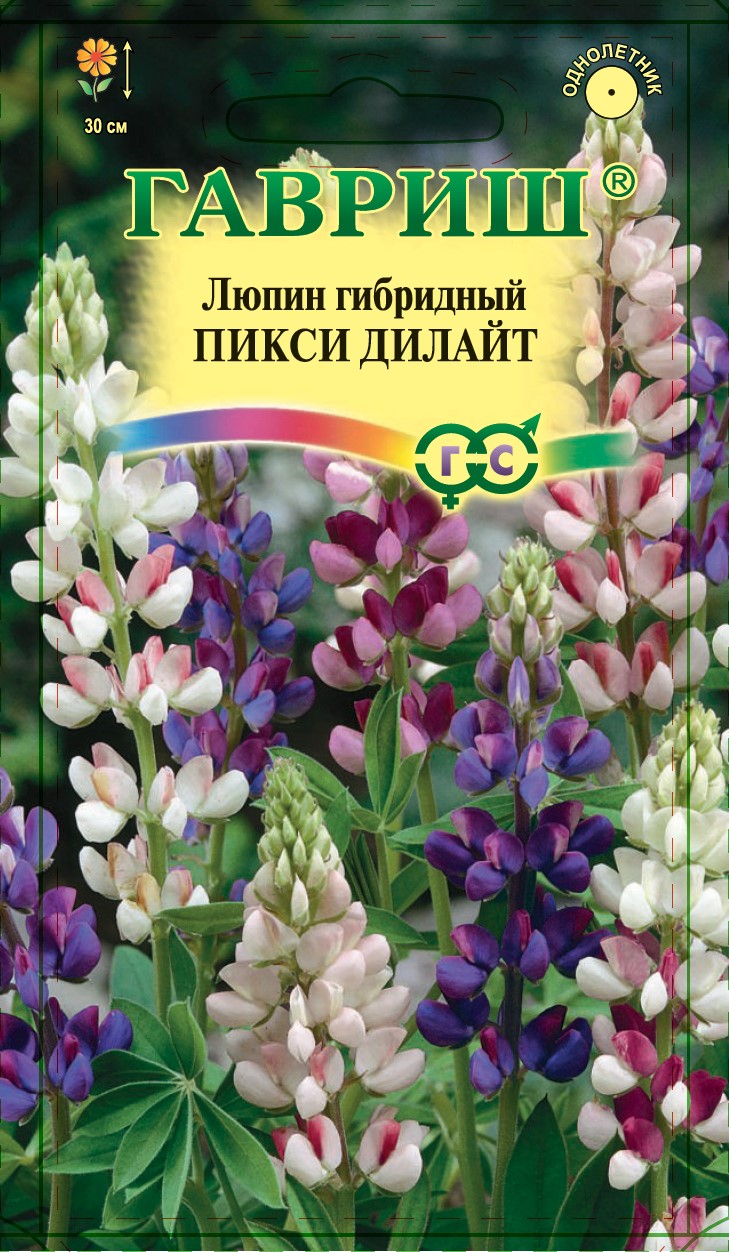 картинка Люпин Пикси Дилайт 0,5 г Г семена от магазина Евродом