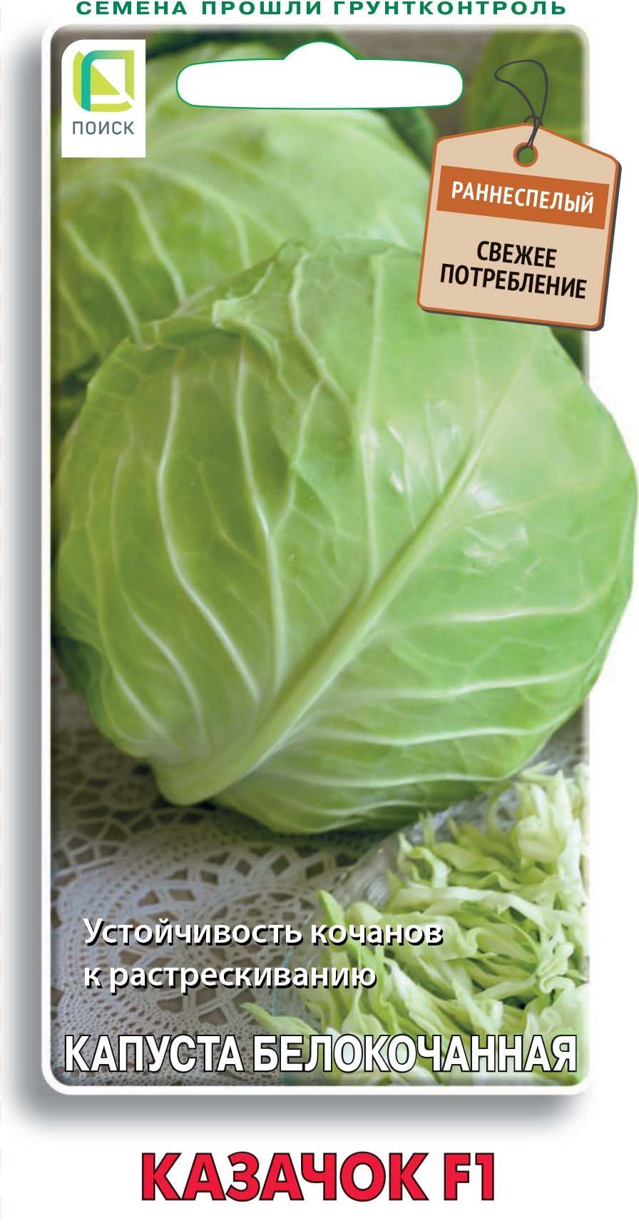 картинка Капуста белокочанная Казачок F1 0,2г (Ц) П семена от магазина Евродом
