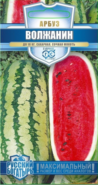 картинка Арбуз Волжанин 1 г Русский Богатырь Г семена от магазина Евродом