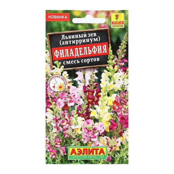 картинка Львиный зев Филадельфия 0,1 г АЭ семена от магазина Евродом