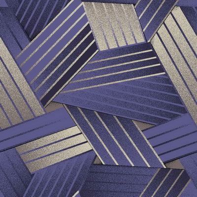 картинка Дорожка 1726/a5/101 (1,6 м) от магазина Евродом