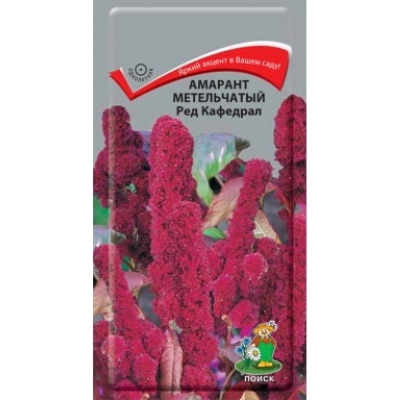 картинка Амарант метельчатый Ред Кафедрал 0,1 г П семена от магазина Евродом