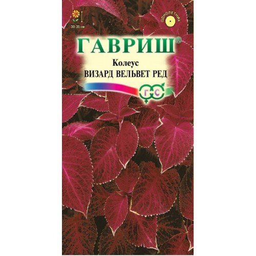 картинка Колеус Визард Вельвет ред 4 шт Г семена от магазина Евродом