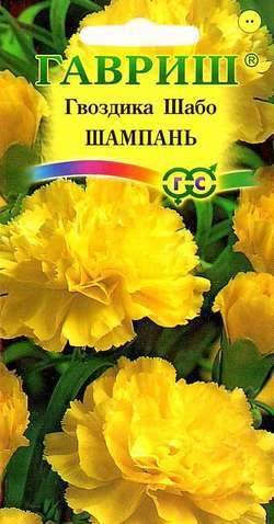 картинка Гвоздика Шабо Шампань* 0,05 г Г семена от магазина Евродом