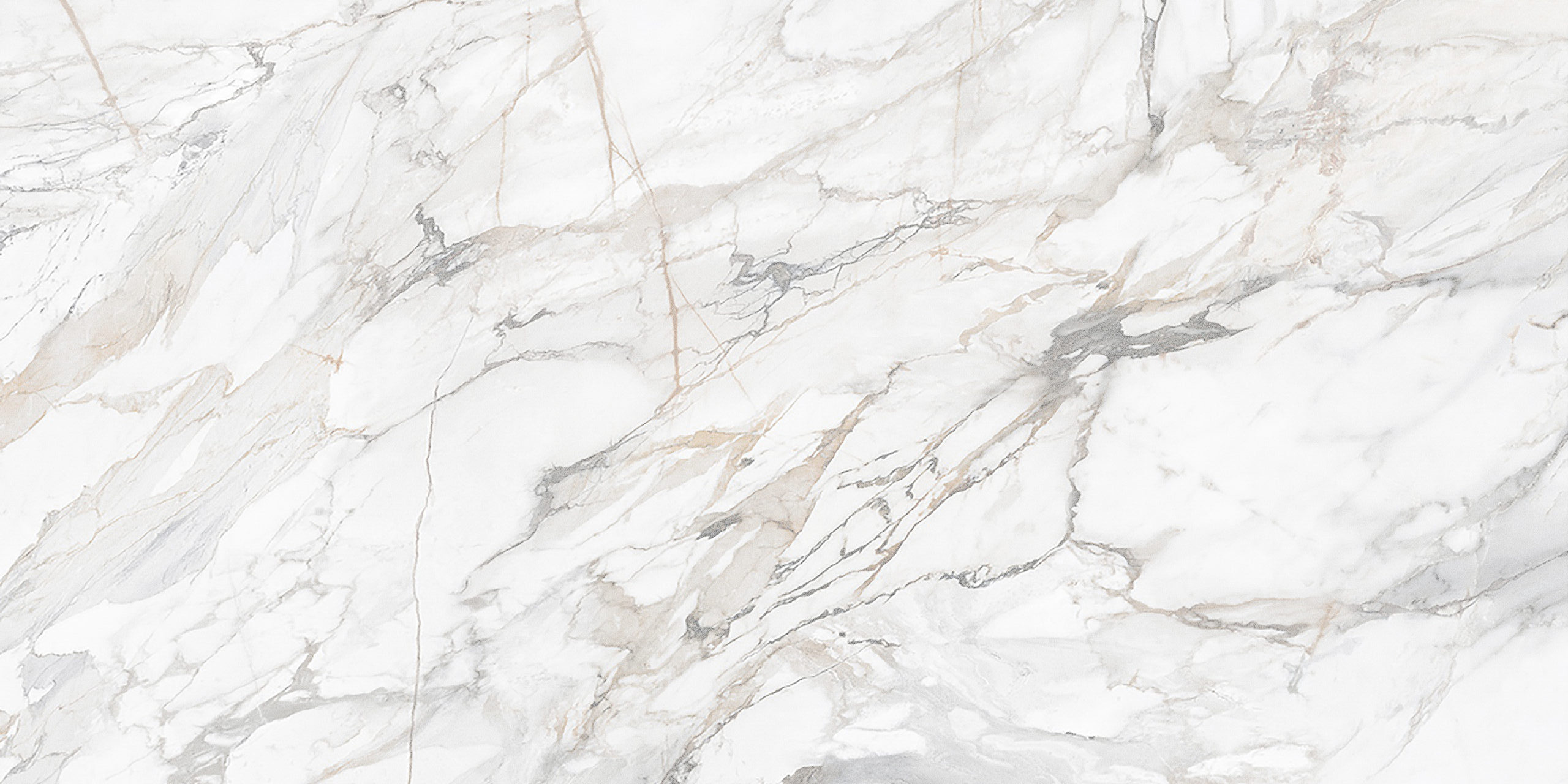 картинка Бриер белый 300*600 от магазина Евродом