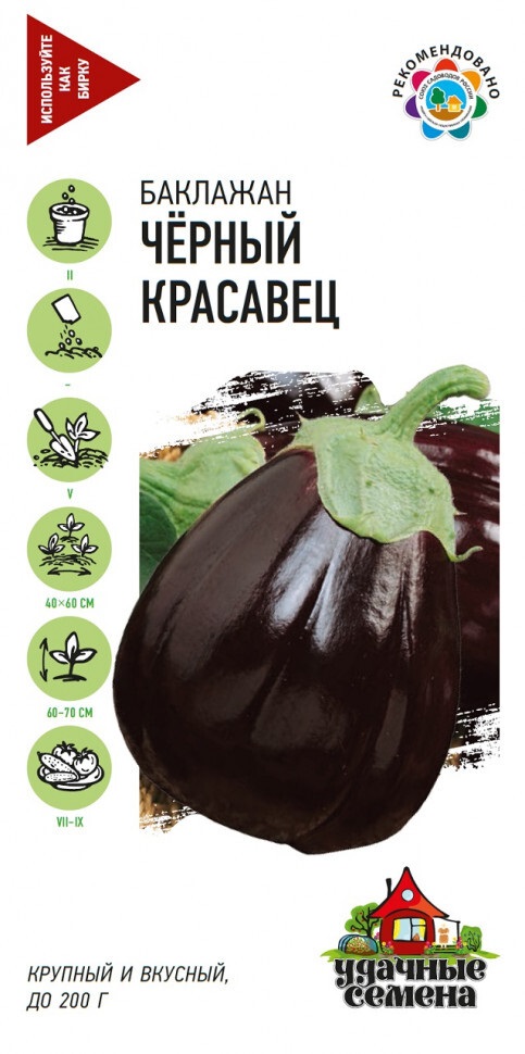 картинка Баклажан Черный красавец 0,1 г Г семена от магазина Евродом