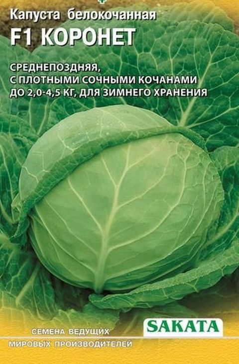 картинка Капуста Амтрак F1 10 шт.для хранения (Голландия) Г семена от магазина Евродом