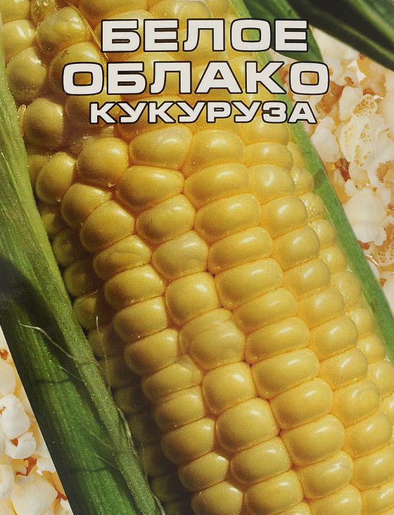 картинка Кукуруза Белое облако 10 шт СС семена от магазина Евродом