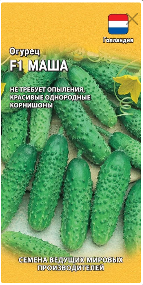 картинка Огурец Маша F1 корнишон 5 шт Г семена от магазина Евродом
