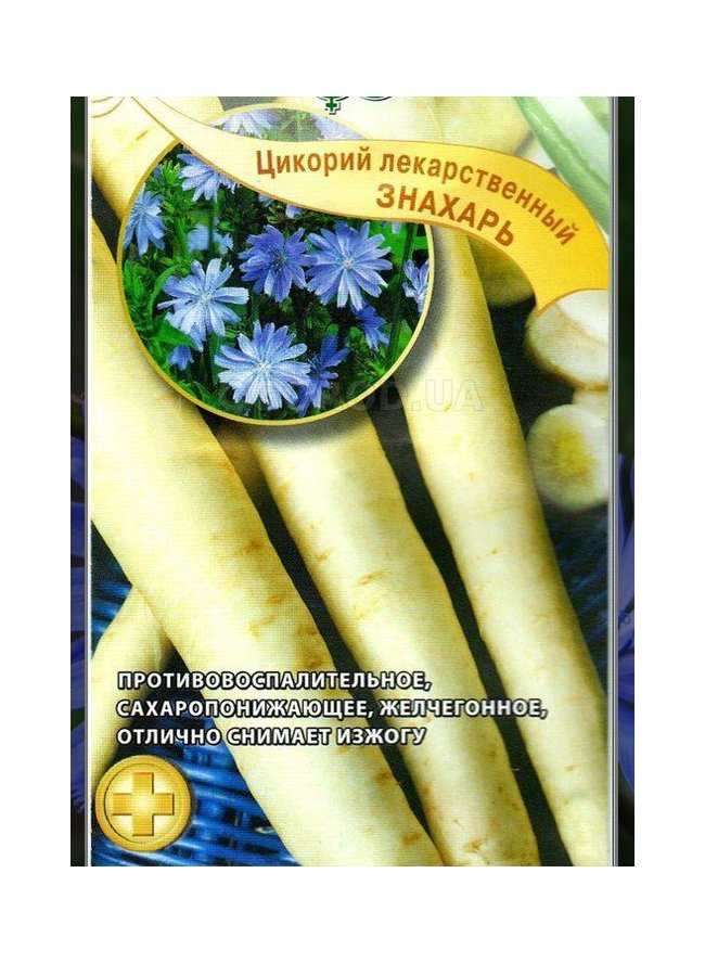 картинка Цикорий Знахарь лекарственный 0,1 г Г семена от магазина Евродом