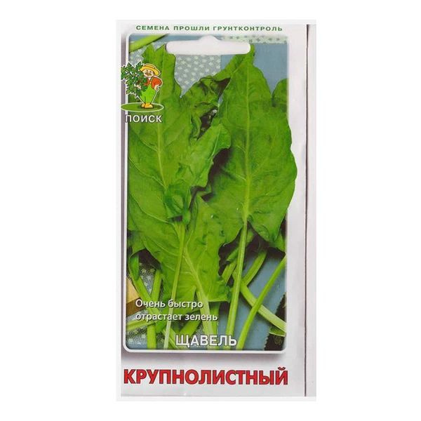 картинка Щавель Крупнолистный 1 г П семена от магазина Евродом