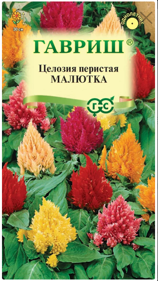 картинка Целозия Малютка смесь перистая 0,01 г Г семена от магазина Евродом