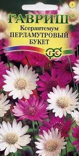 картинка Ксерантемум Перламутровый букет 0.05г. Г семена от магазина Евродом