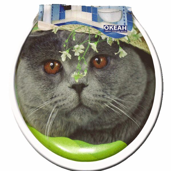 картинка Сиденье для унитаза Океанус мягкое от магазина Евродом