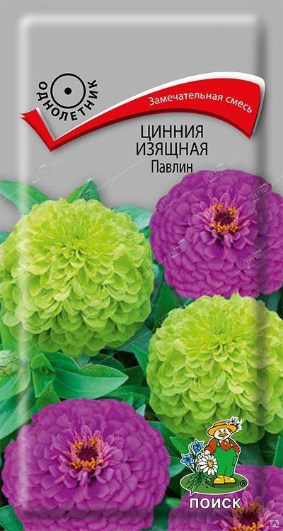 картинка Цинния изящная Павлин 0,4 г П семена от магазина Евродом
