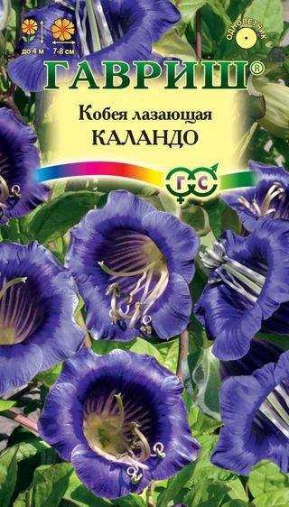 картинка Кобея лазающая Каландо 5шт. Г семена от магазина Евродом