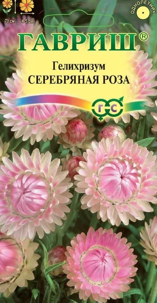 картинка Гелихризум Серебряная роза 0,01 г Г семена от магазина Евродом