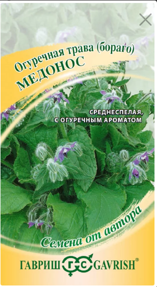картинка Бораго Огуречная трава Медонос 0,3г (Ц) Г семена от магазина Евродом