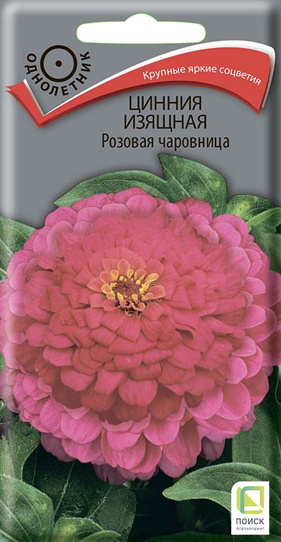 картинка Цинния изящная Розовая чаровница 0,3г (Ц) П семена от магазина Евродом