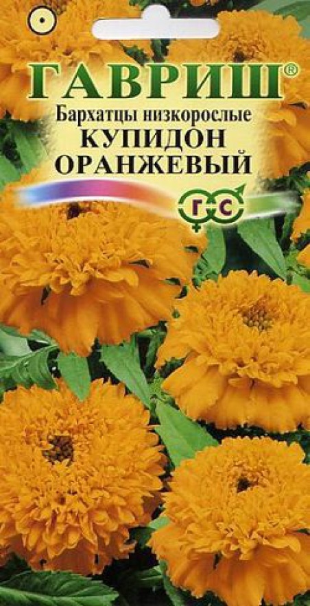 картинка Бархатцы прямостоячие Купидон оранжевый Г семена от магазина Евродом