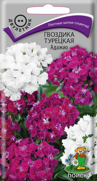 картинка Гвоздика турецкая Адажио 0,3г (Ц) П семена от магазина Евродом
