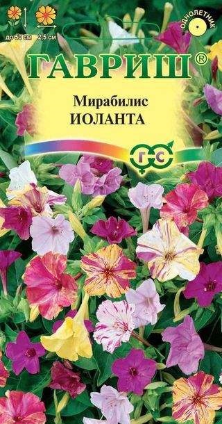 картинка Мирабилис Иоланта 1 г Г семена от магазина Евродом