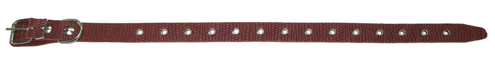 картинка Ошейник 25 репт.универсальный (15-54смх25мм) от магазина Евродом