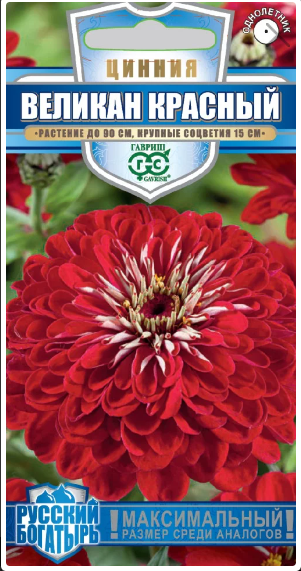 картинка Цинния Великан красный  0,3 г серия Русский богатырь семена от магазина Евродом